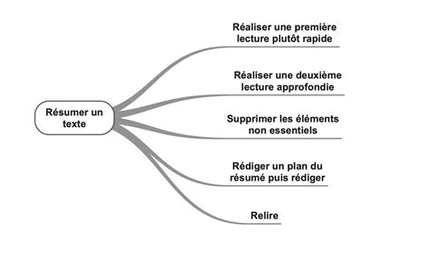 Le Résumé Long .